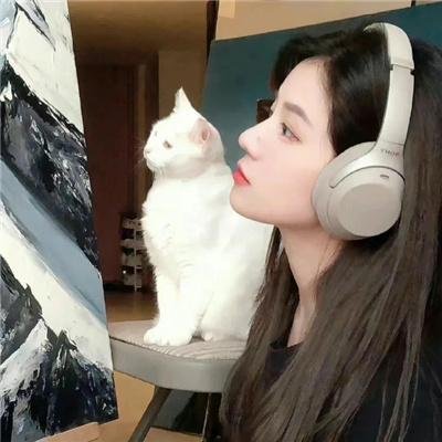 义犬奇行录